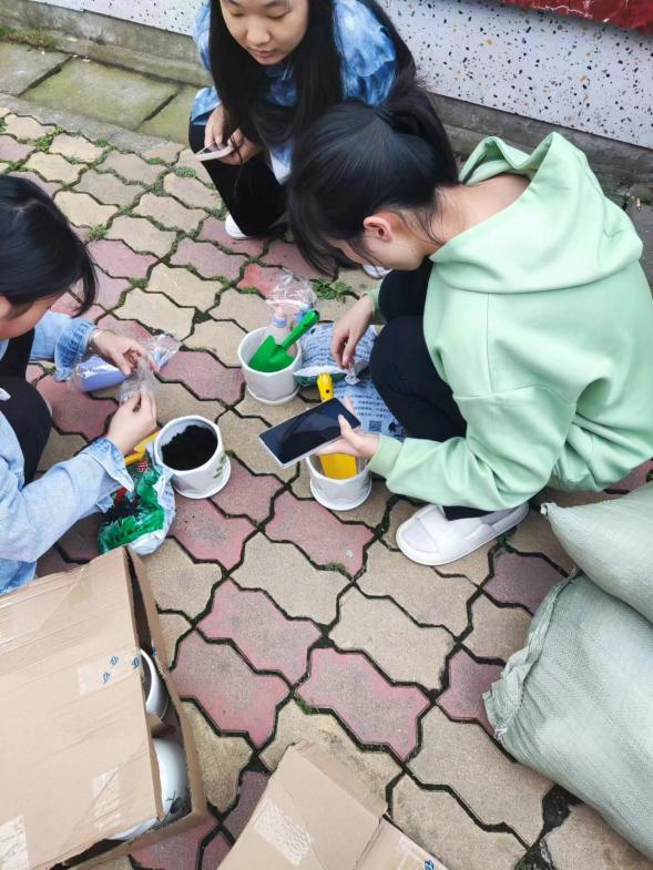 温暖生命,治愈自我--525心理健康月 温暖生命,治愈自我--525心理健康月