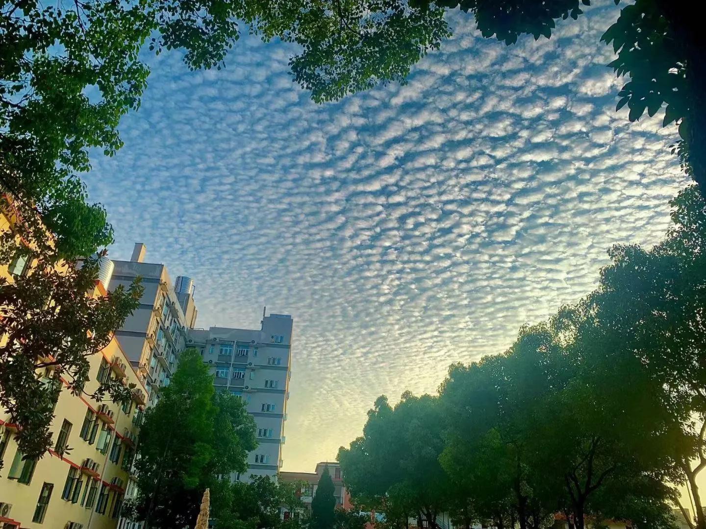 毕业进国企,福利好,待遇高;best365官方网站登录入口学生很“清高 毕业进国企,福利好,待遇高;best365官方网站登录入口学生很“清高