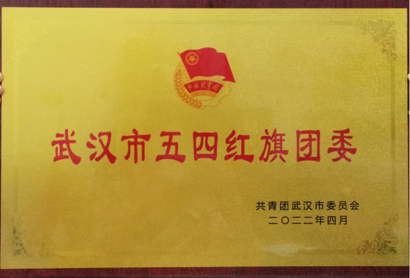 喜报！365官网团委工作荣获武汉市和武昌区五四表彰多项荣誉